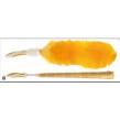 PLUMEAU ANTISTATIQUE GAINE
